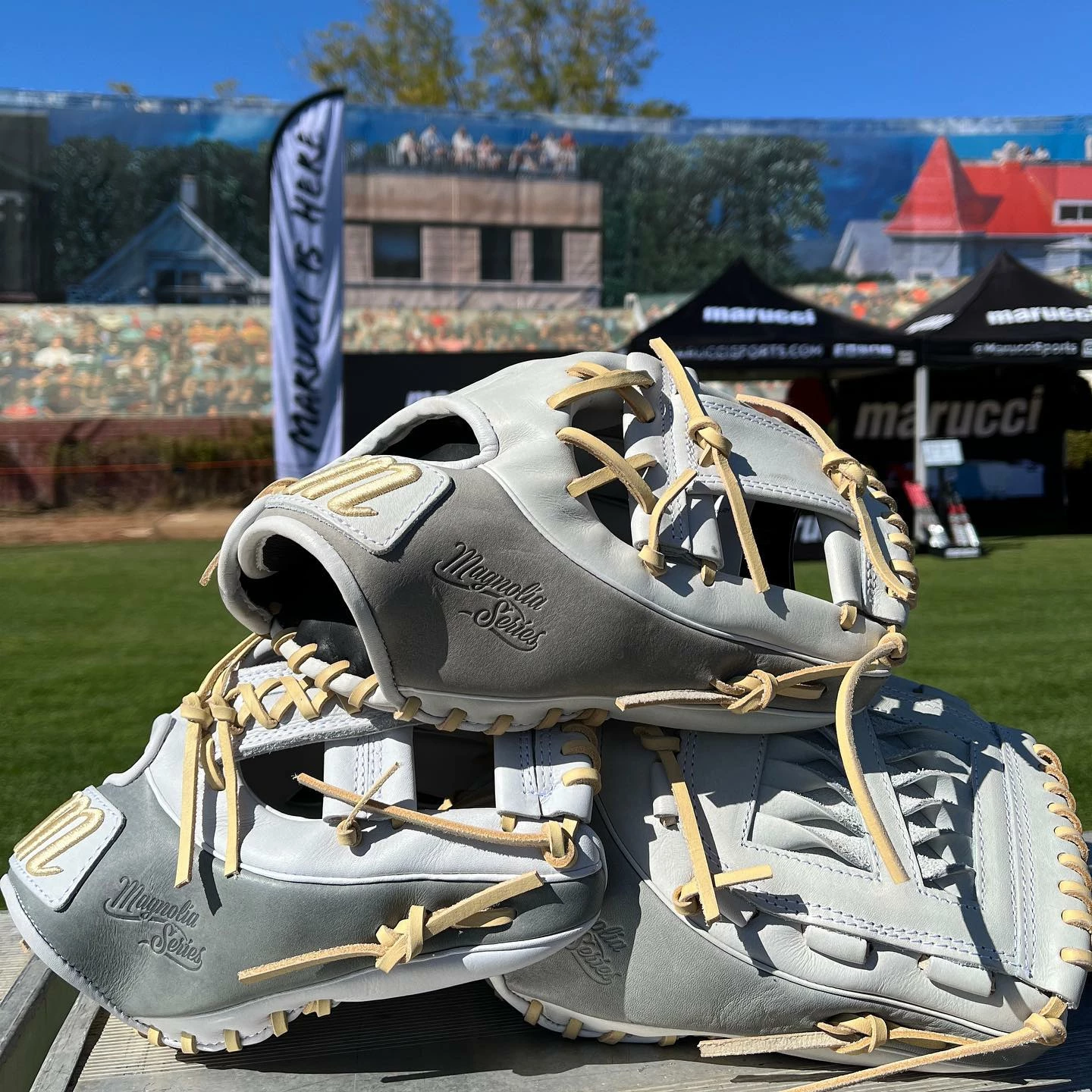 Deals Baseball Store -Deals Baseball Store 27443865